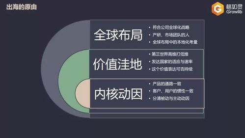 教育出海的荊棘之路 技術產品型公司的海外挑戰與反思